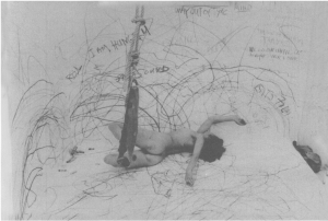 Carolee Schneemann, Up To and Including Her Limits. Photo: Courtesy Henrik Gaard